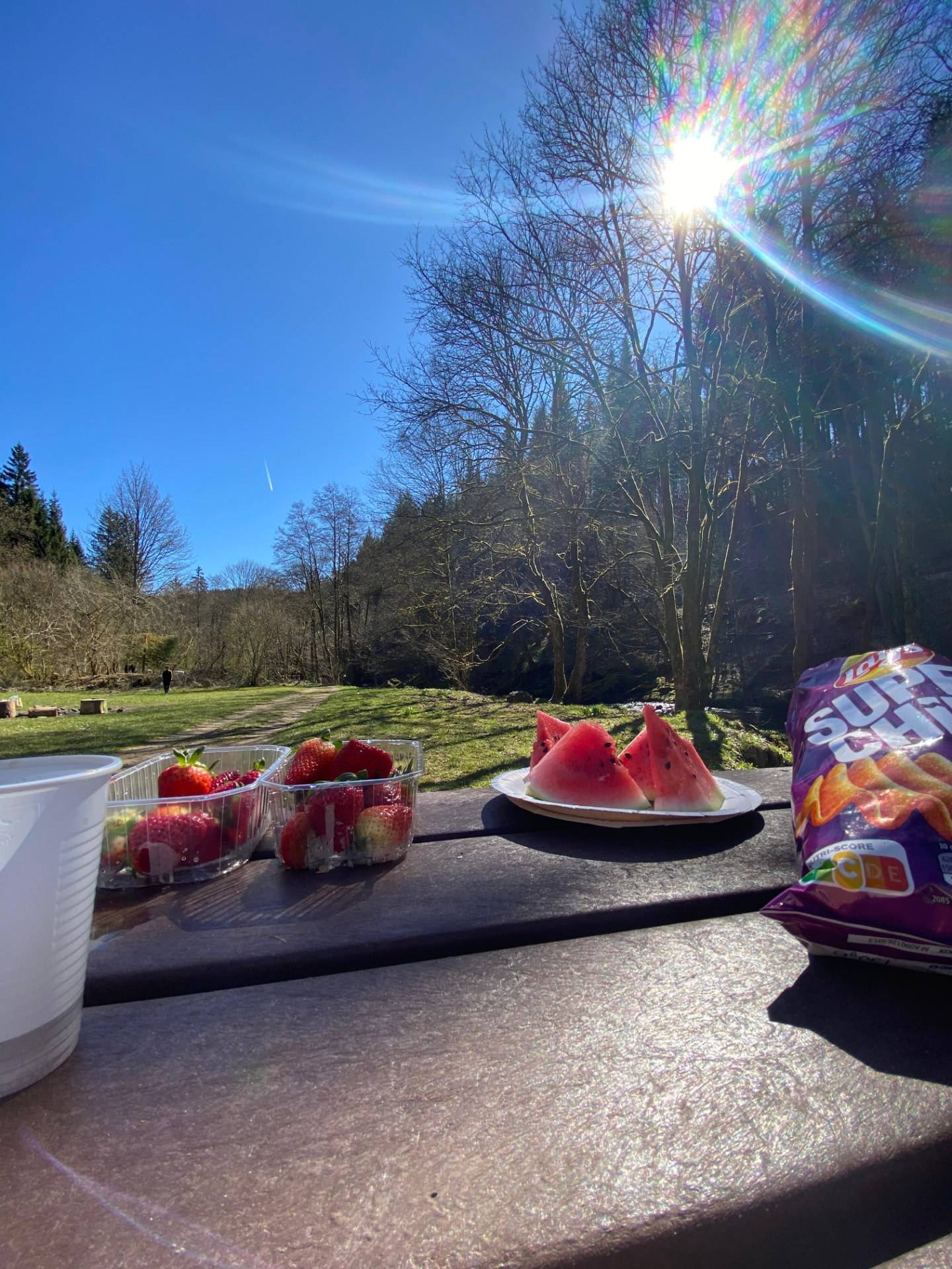 Erdbeeren und Wassermelone auf einem Picknicktisch am Waldrand